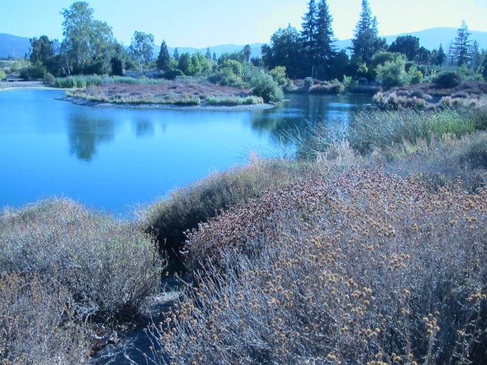 "Settling Pond," photo by Bea Garth, copyright 2012