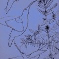 "Hummingbirds Rising" drawing by Bea Garth, copyright 2017