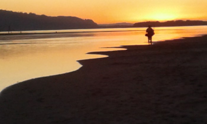 "Rooster Rock Beach: Walking Back," photo by Bea Garth, copyright 2017